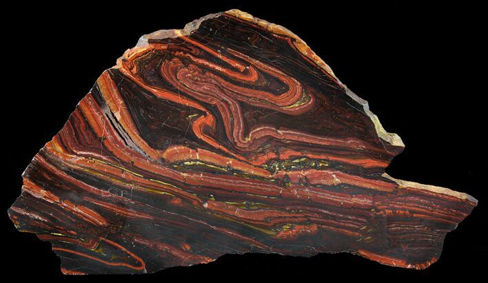 Polished Tiger Iron Stromatolite - ( Billion Years) #64001